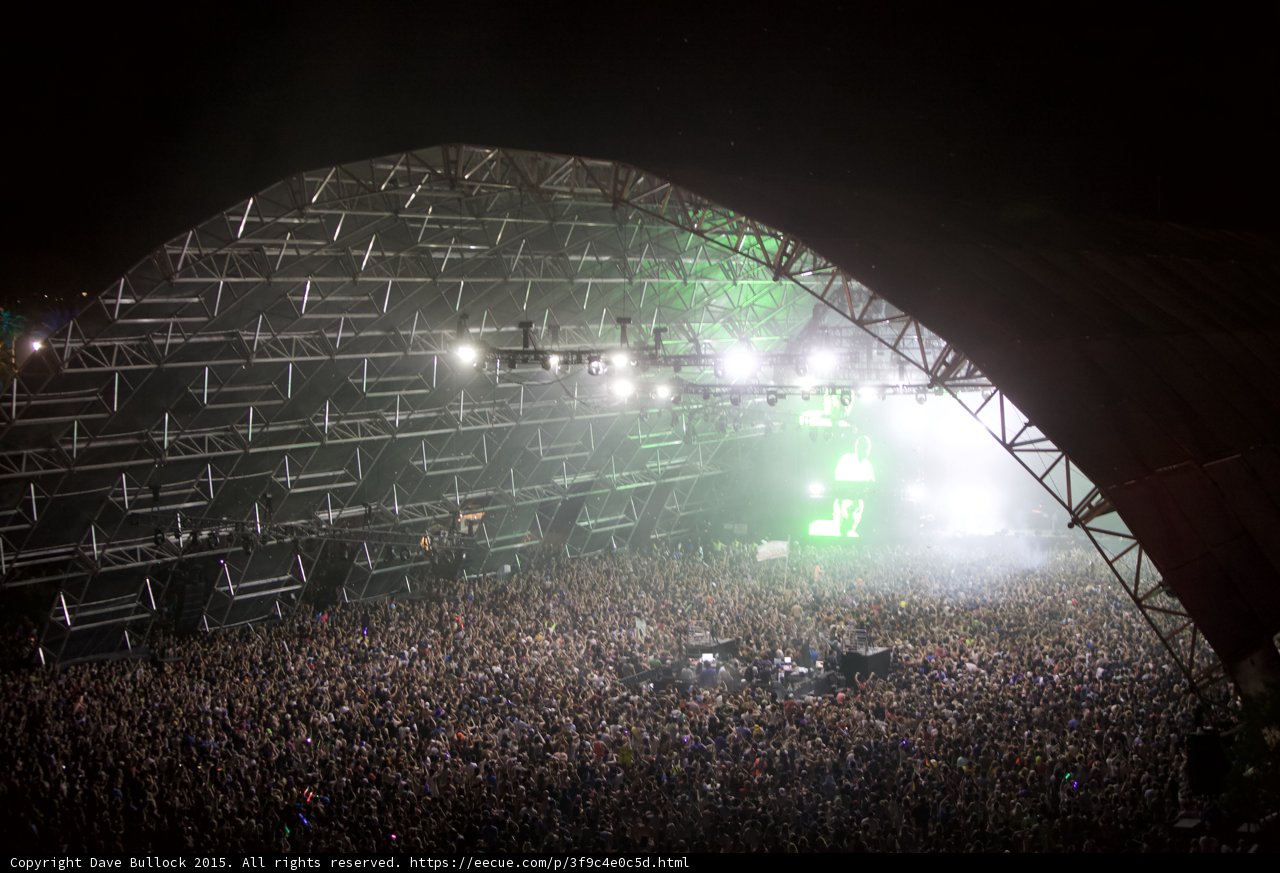 Rockin' with the Crowd