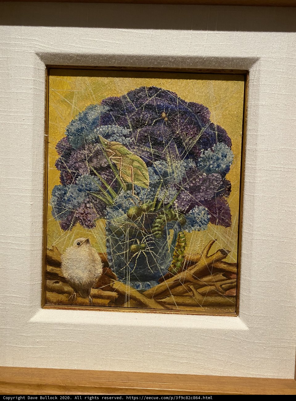 Floral Beauty captured in a Frame