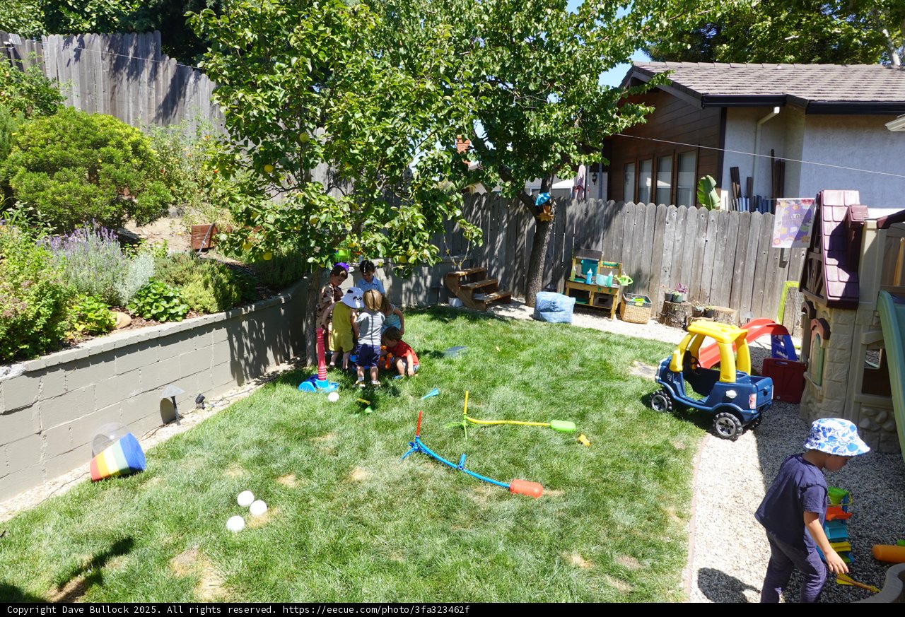 Summer Fun in the Backyard