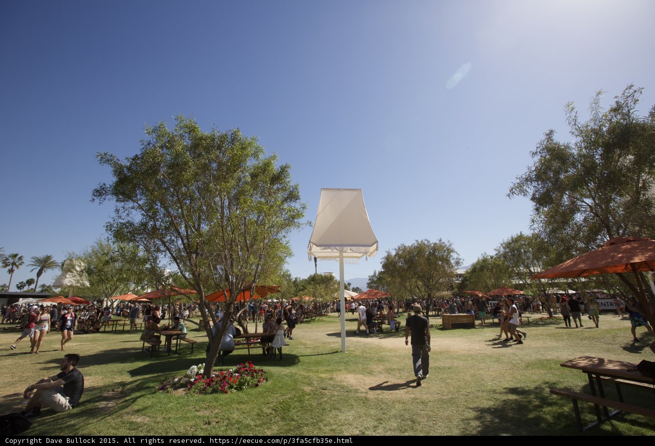 Outdoor Festival Bliss