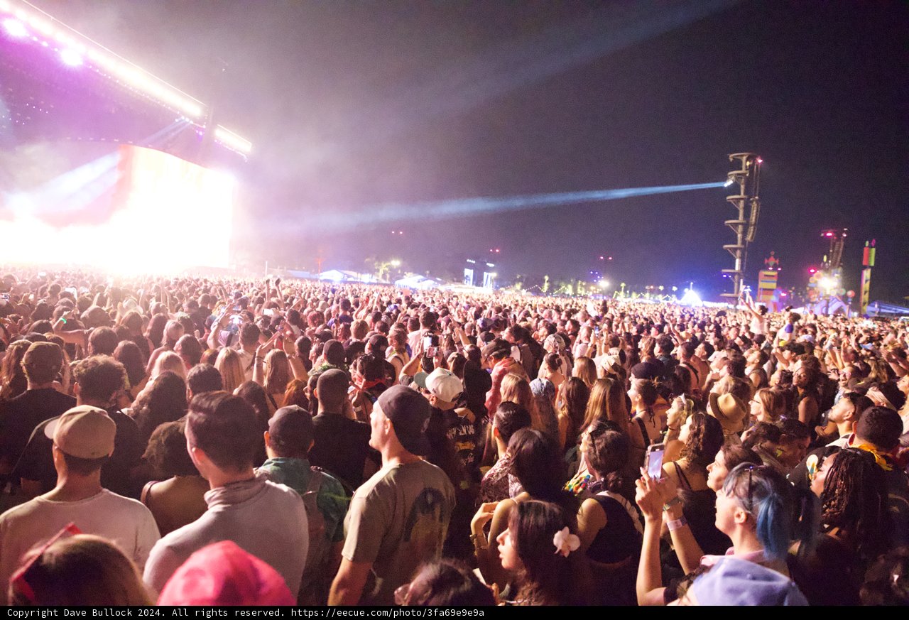 Electric Nights at Coachella 2024