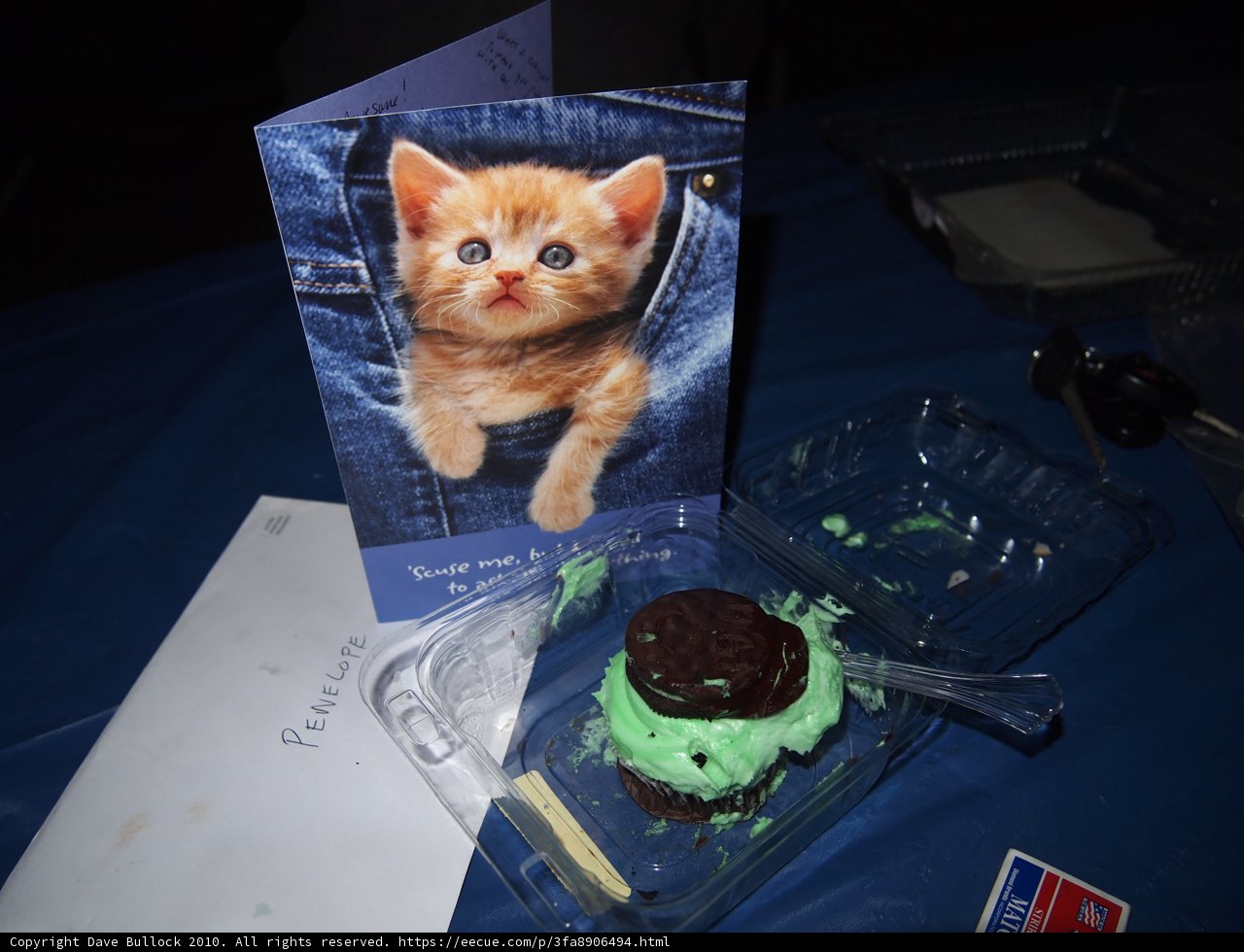 Feline Friend Cupcake