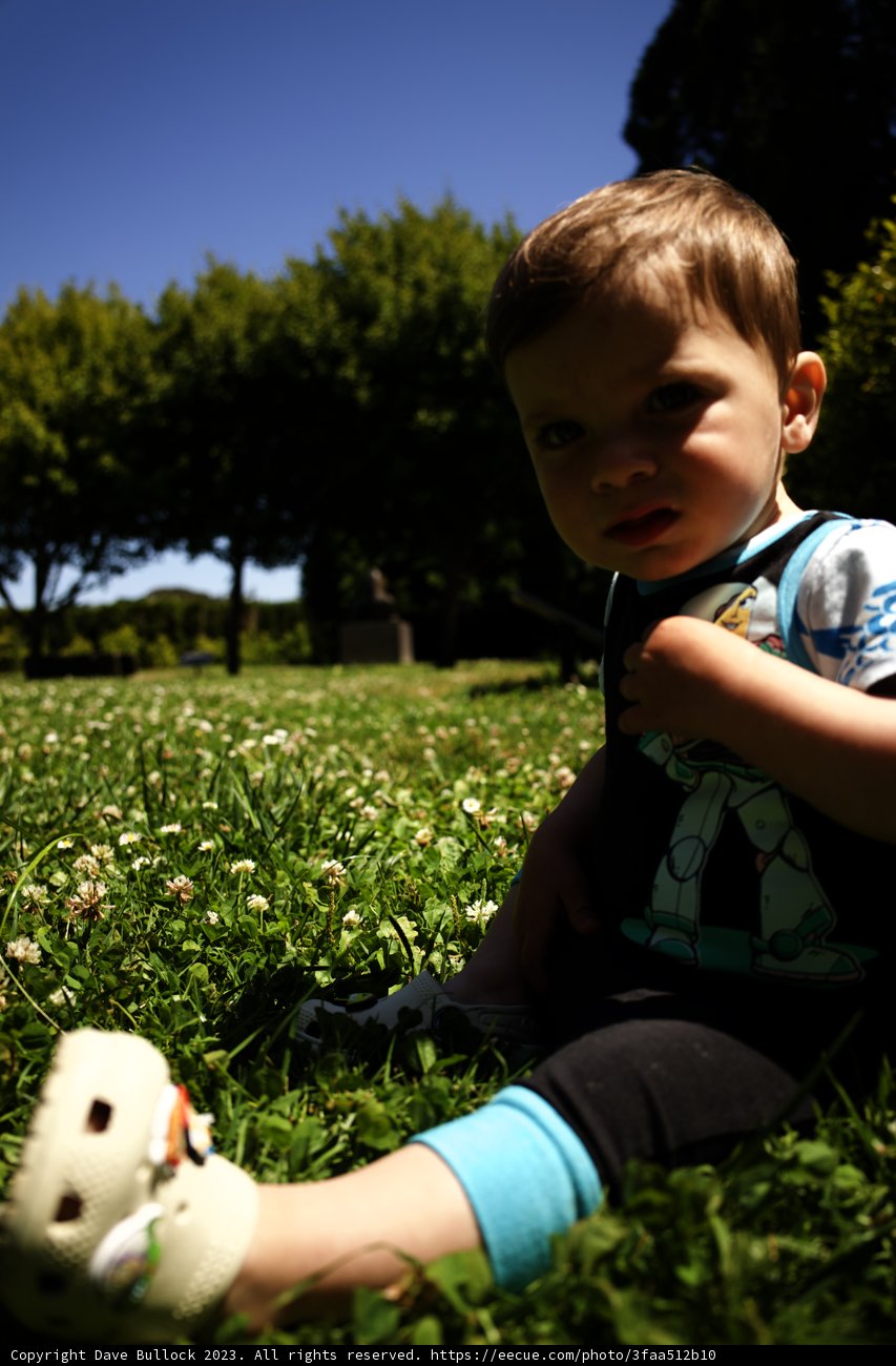 Summer Serenity: Young Boy Amidst Nature