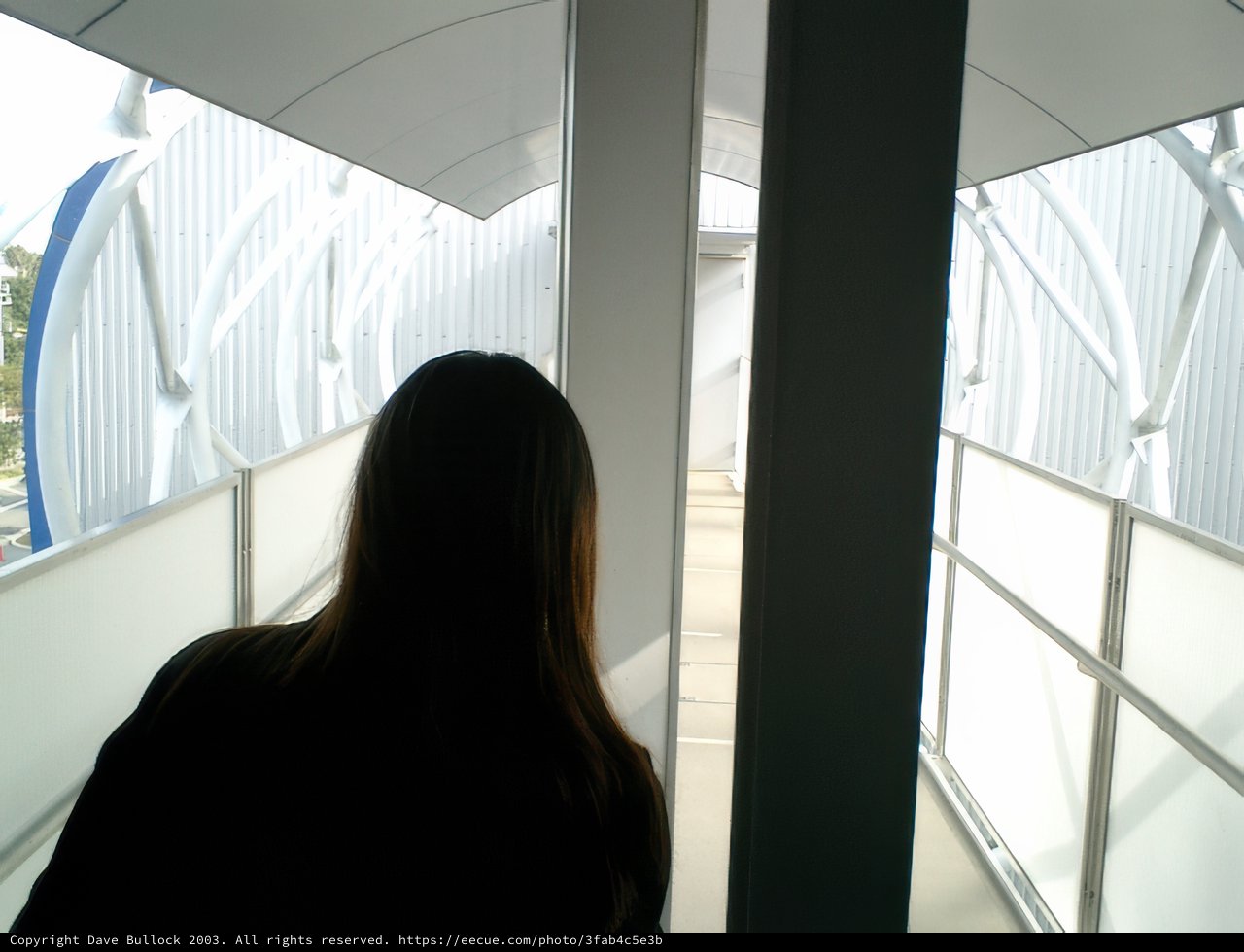 Glass Walkway at Tokyo Metropolitan Government Office