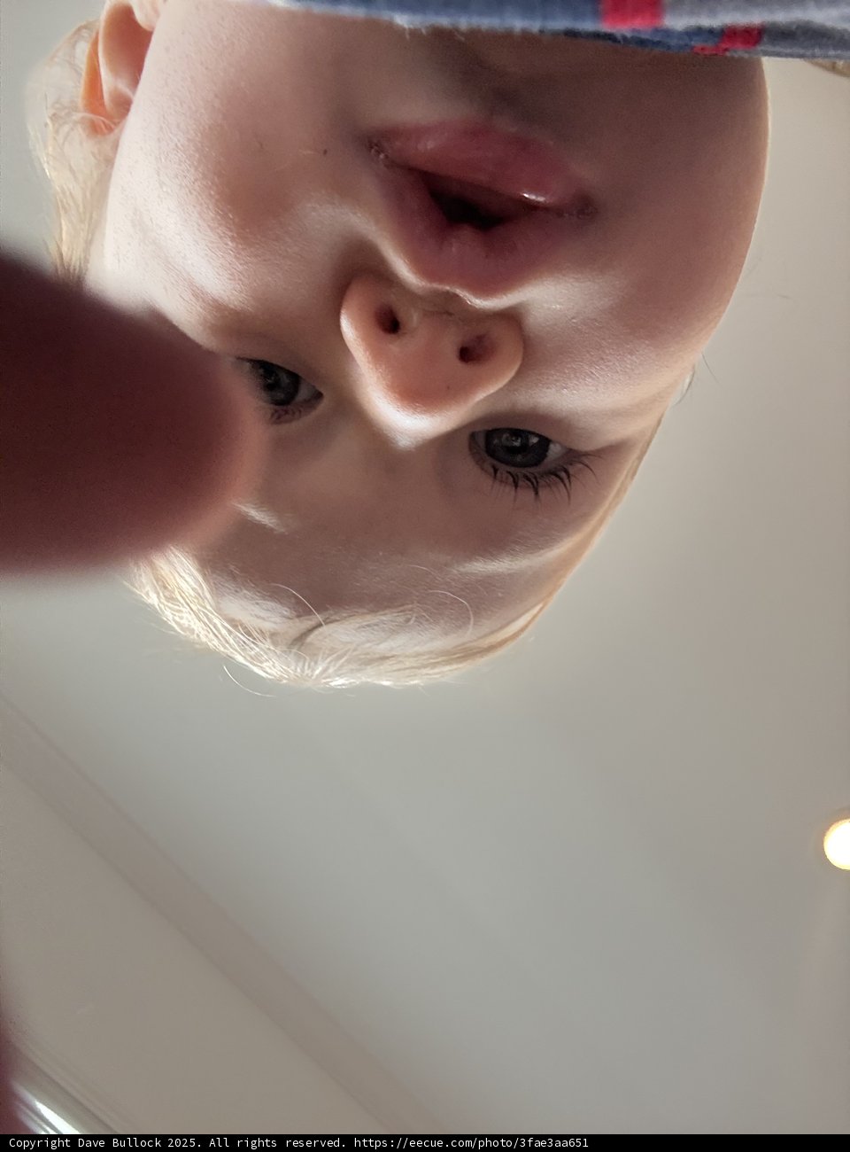 Curious Glimpses