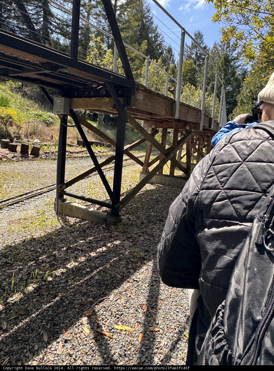Spring Stroll in Tilden