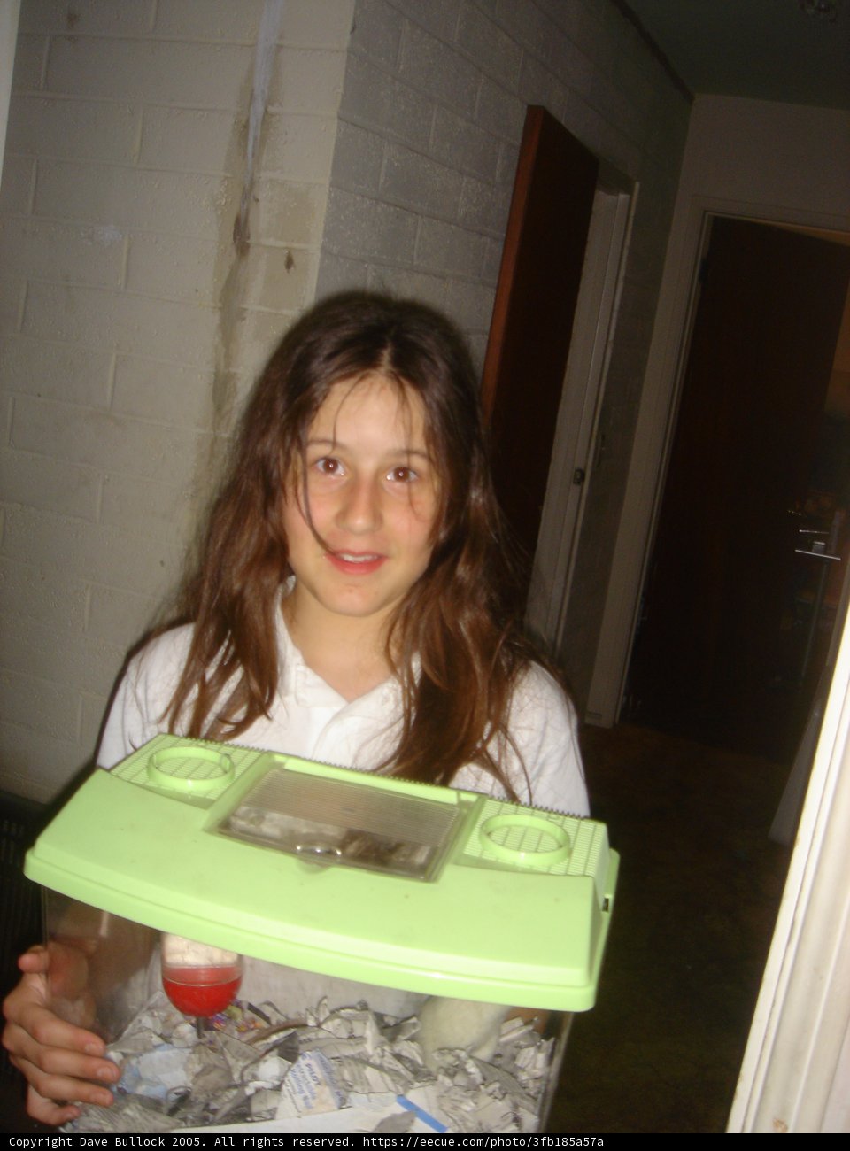 Girl with a Box at the Door