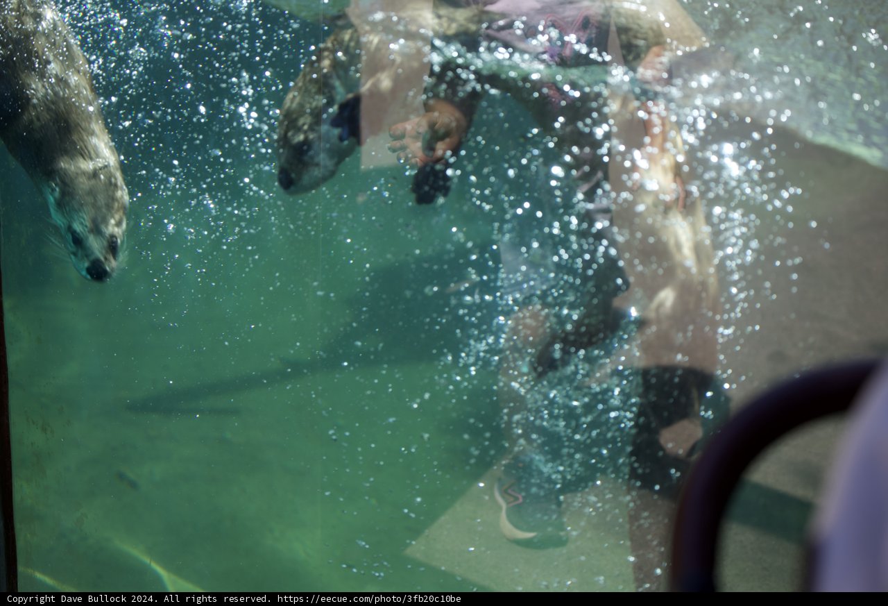 Underwater Ballet