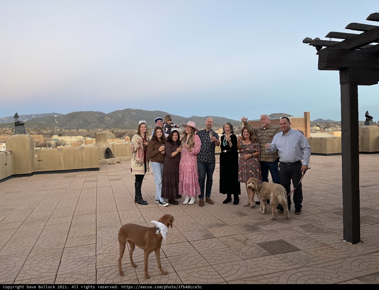 Rooftop Gathering with a Furry Friend