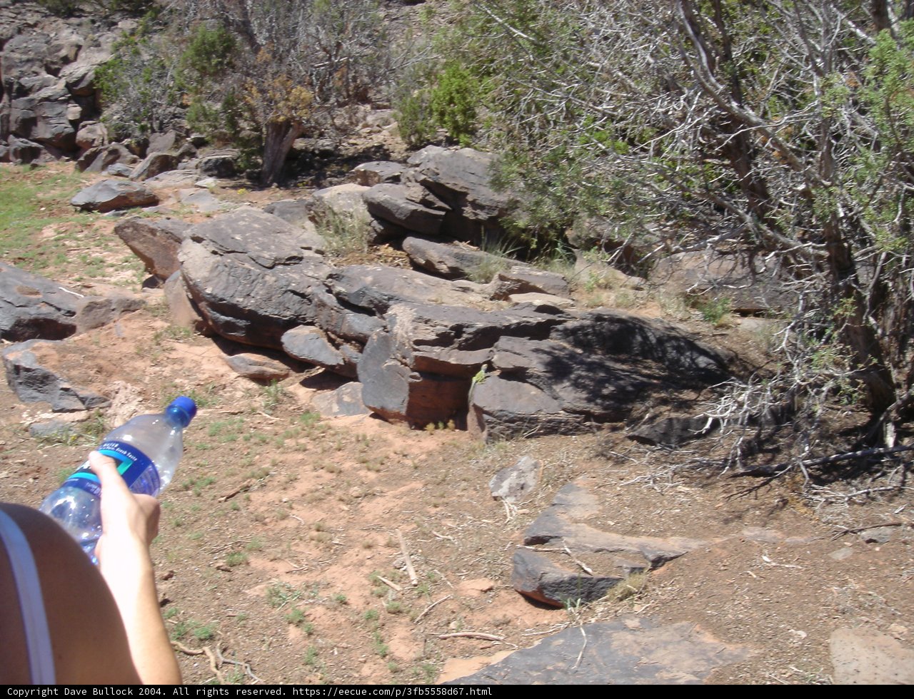 Wilderness Refreshment