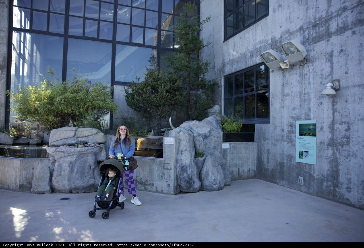 A Moment of Exploration - Monterey Bay Aquarium Visit 2023