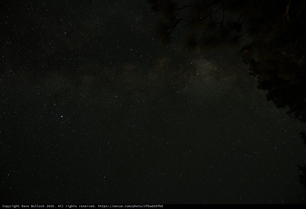 Milky Way Rises Over Mount Lassen's Ancient Forest