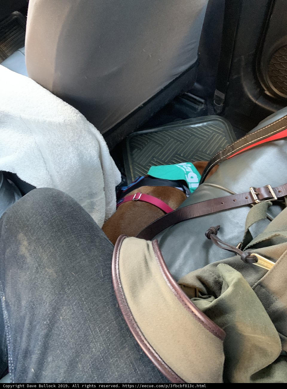 Backseat Comfort