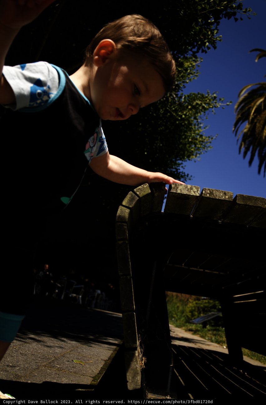 Soaring Skater under the Summer Sky