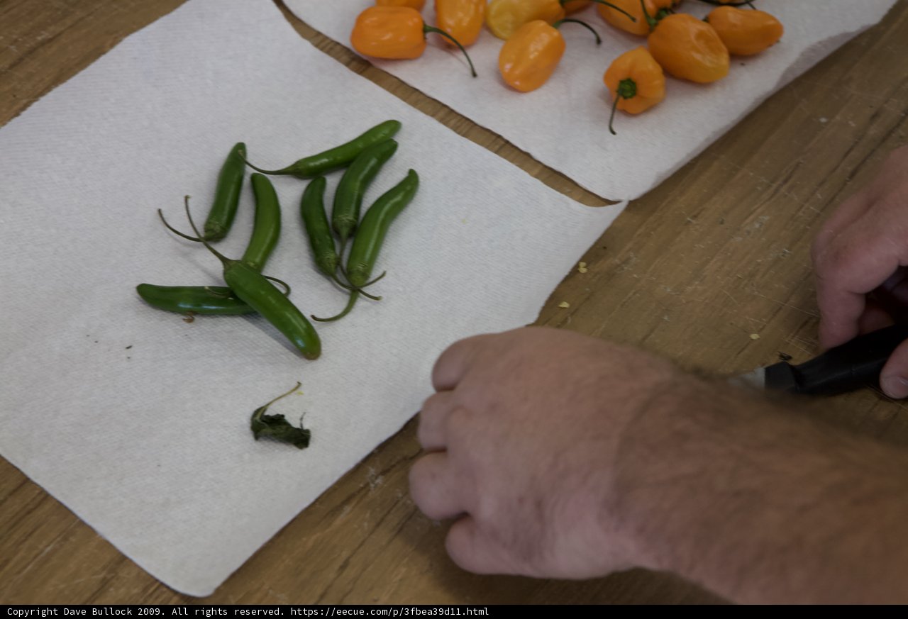 Pepper Prep