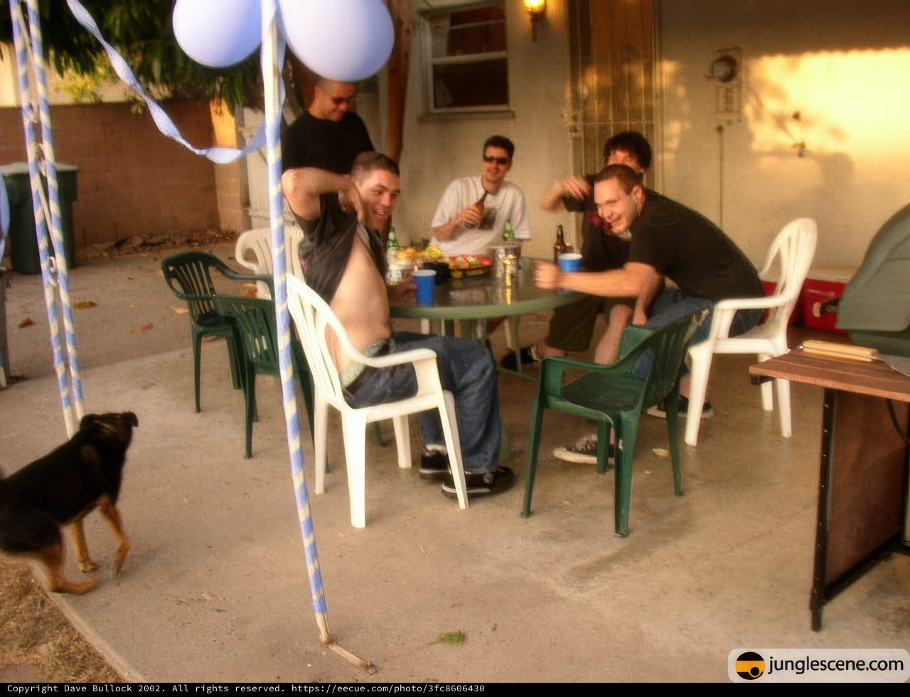 Dining with Furry Friends