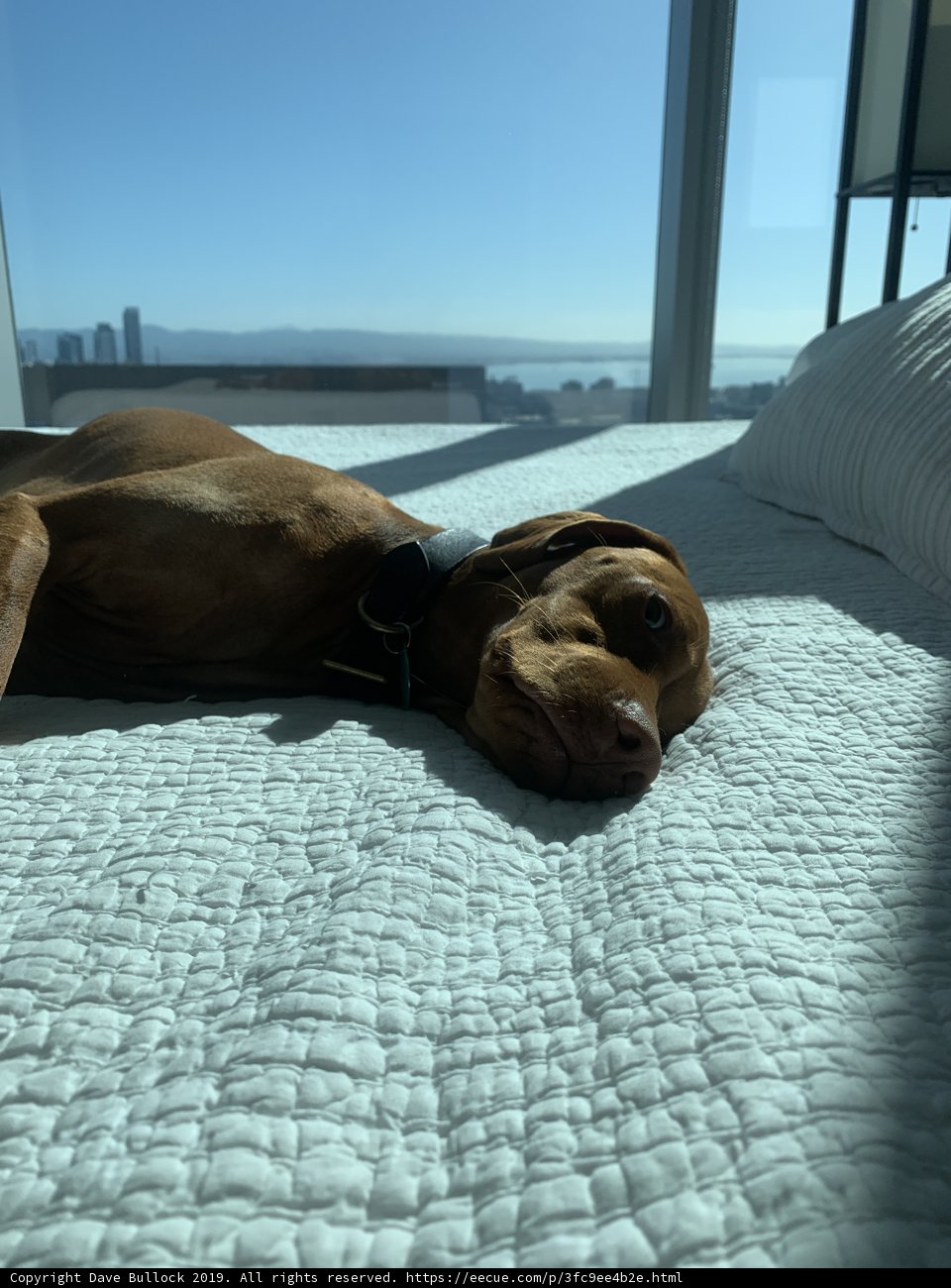 City View Naptime