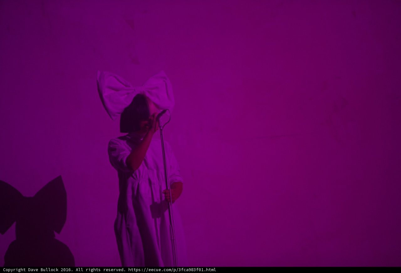 Purple Passion