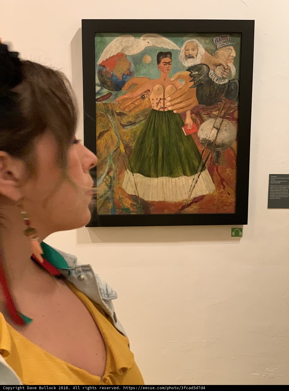 Contemplating Frida's Art