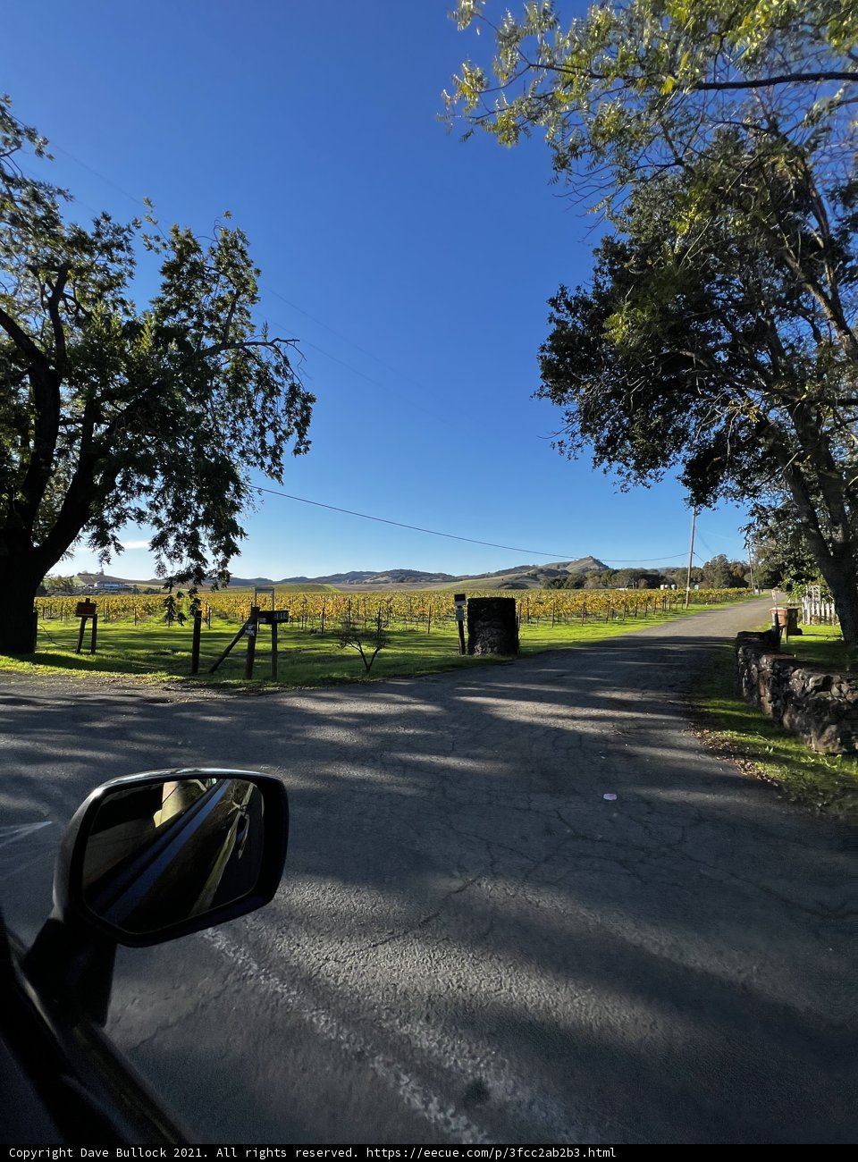 Cruising Through Napa's Idyllic Vineyards