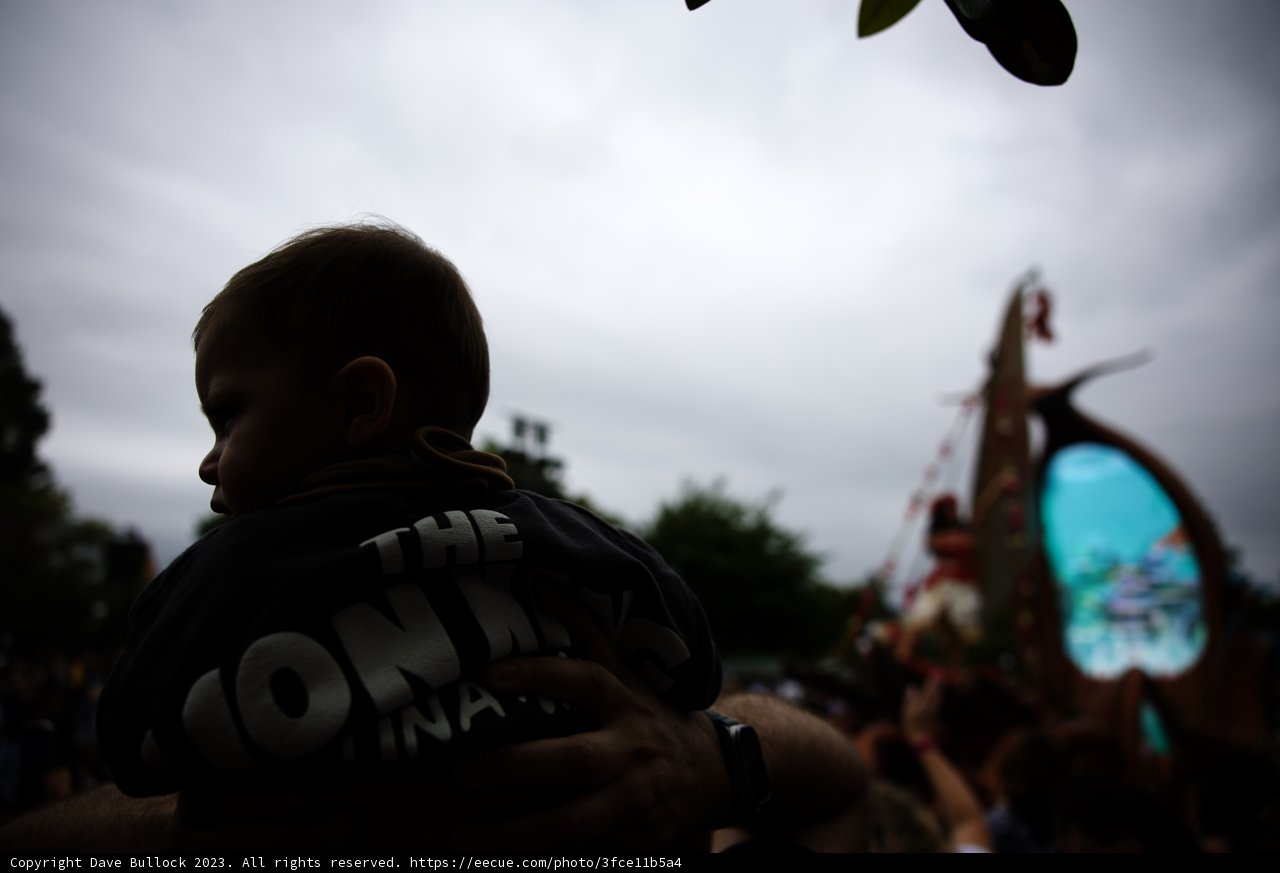 Magical Moments at Disneyland