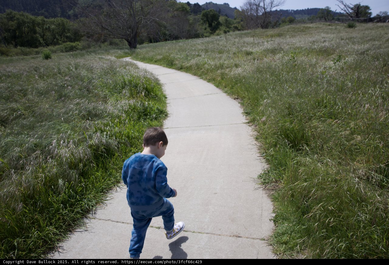 Wandering Through Nature's Path