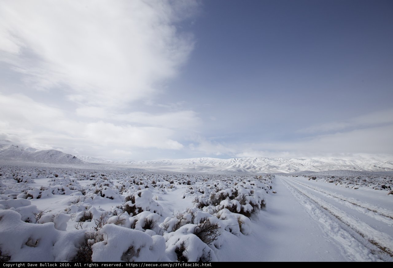 Snowy Serenity