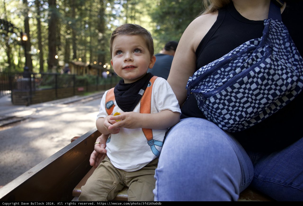 Joyful Moments at Tilden Park
