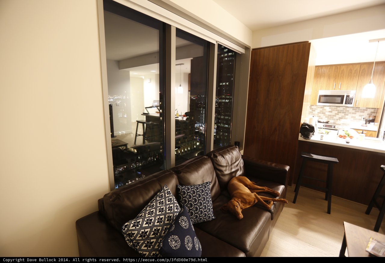 The Cozy Living Room