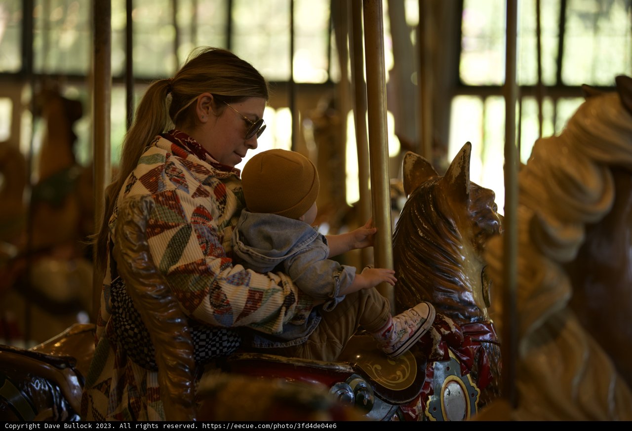 Joyful Carousel Moments at SF Zoo