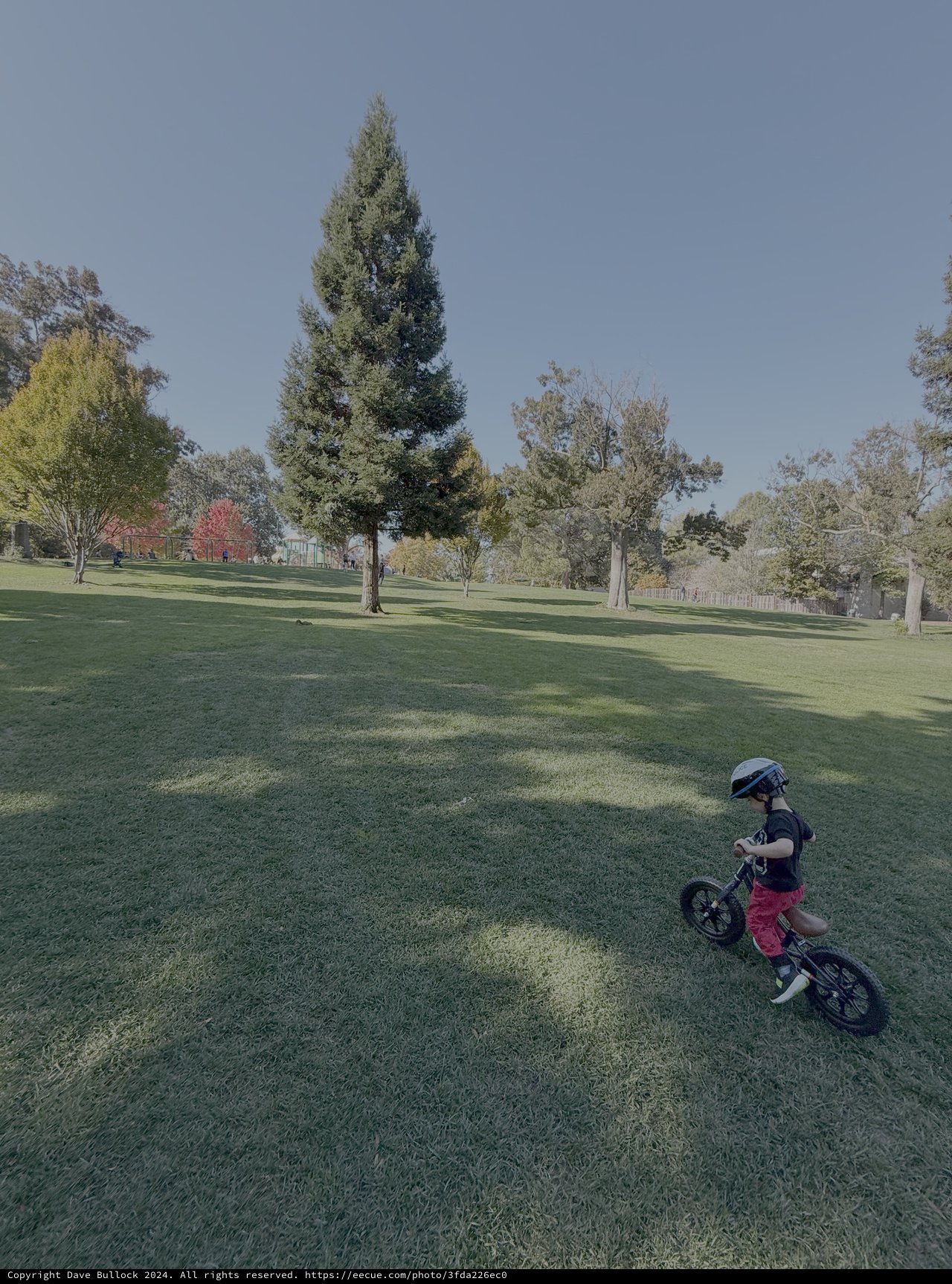 Child Learning to Ride Bike in Park