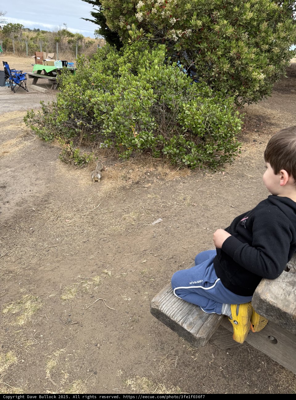 Curious Moments in Cambria
