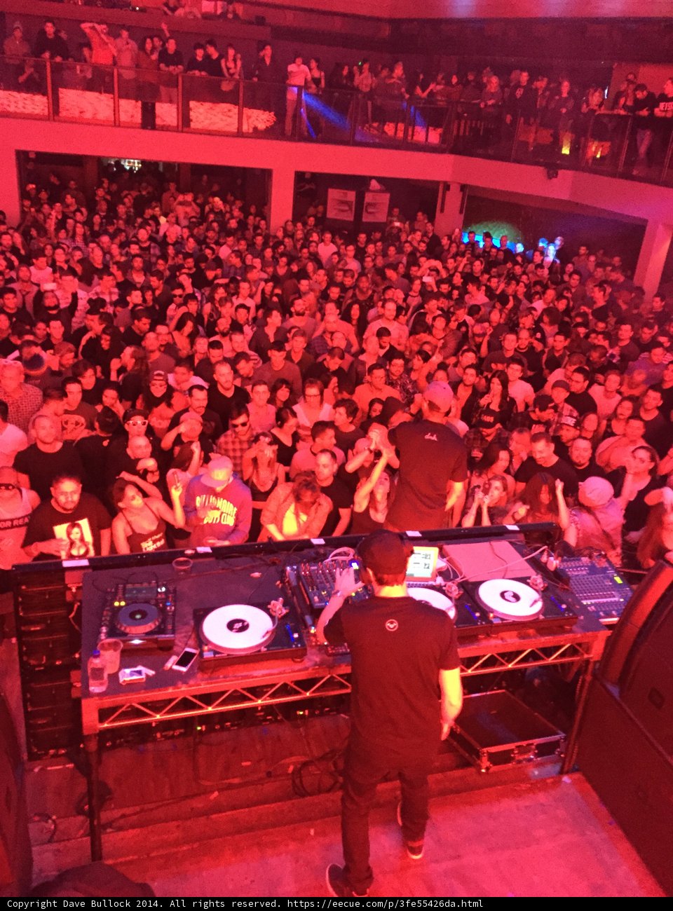 The Ultimate Nightlife Experience