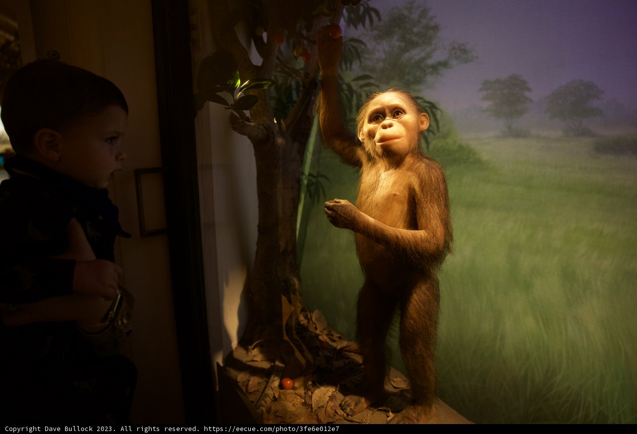Wesley's Encounter with Chimpanzee Replica at the Academy of Sciences