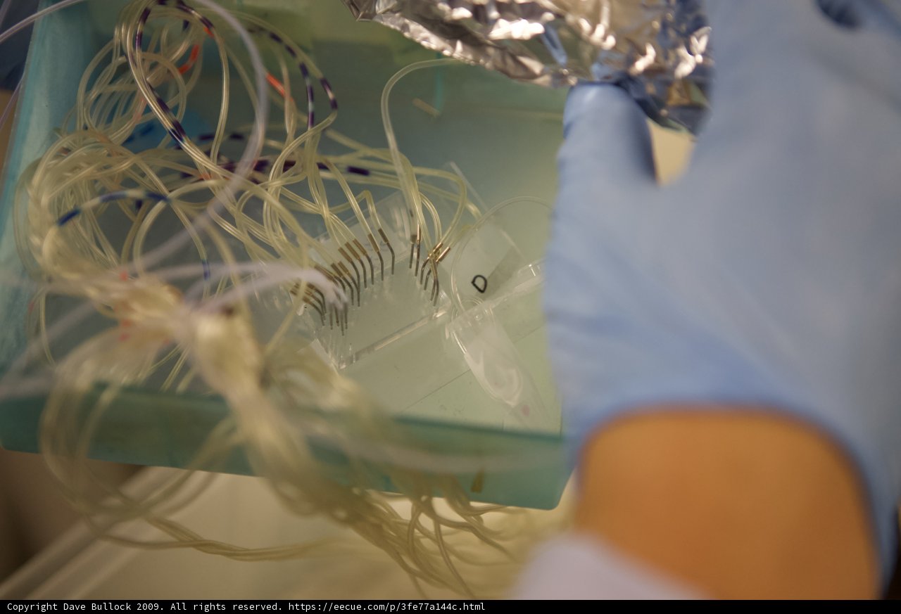 Blue Gloves in a High-Tech Hospital