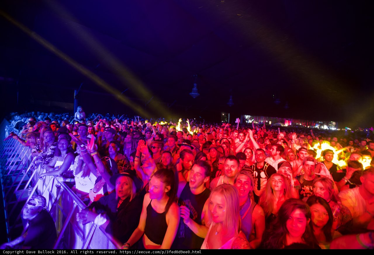 Electric Nights at Coachella