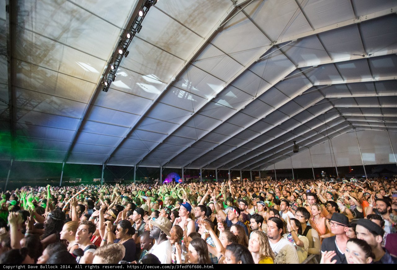 Crowd for Little Dragon