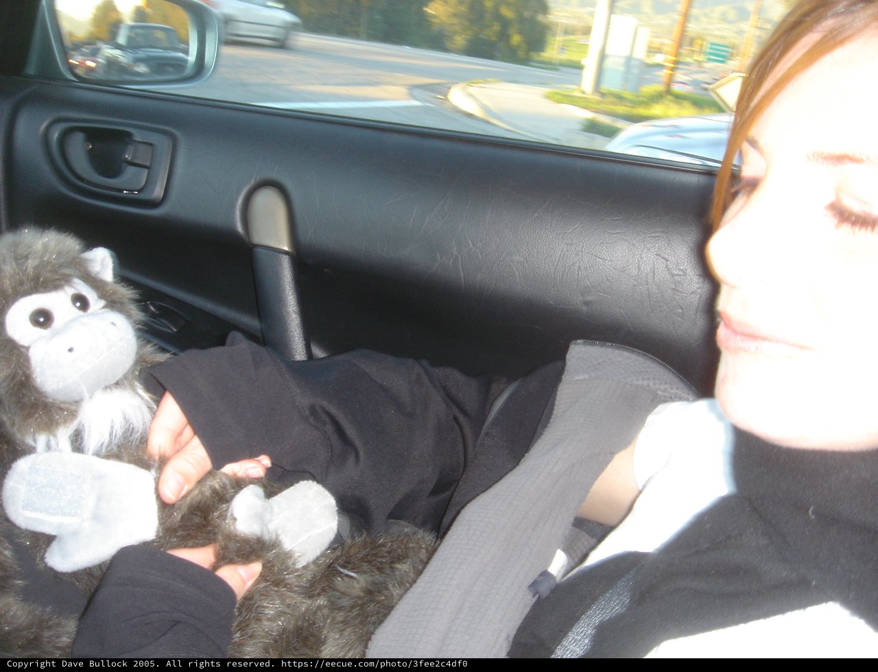 Passenger Napping with Stuffed Monkey on Road Trip