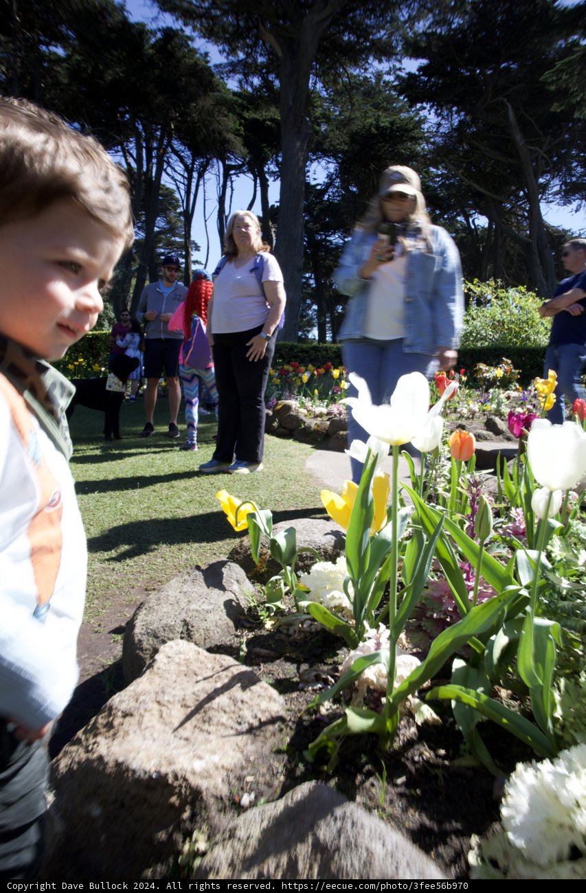 A Blooming Affair at Golden Gate Park