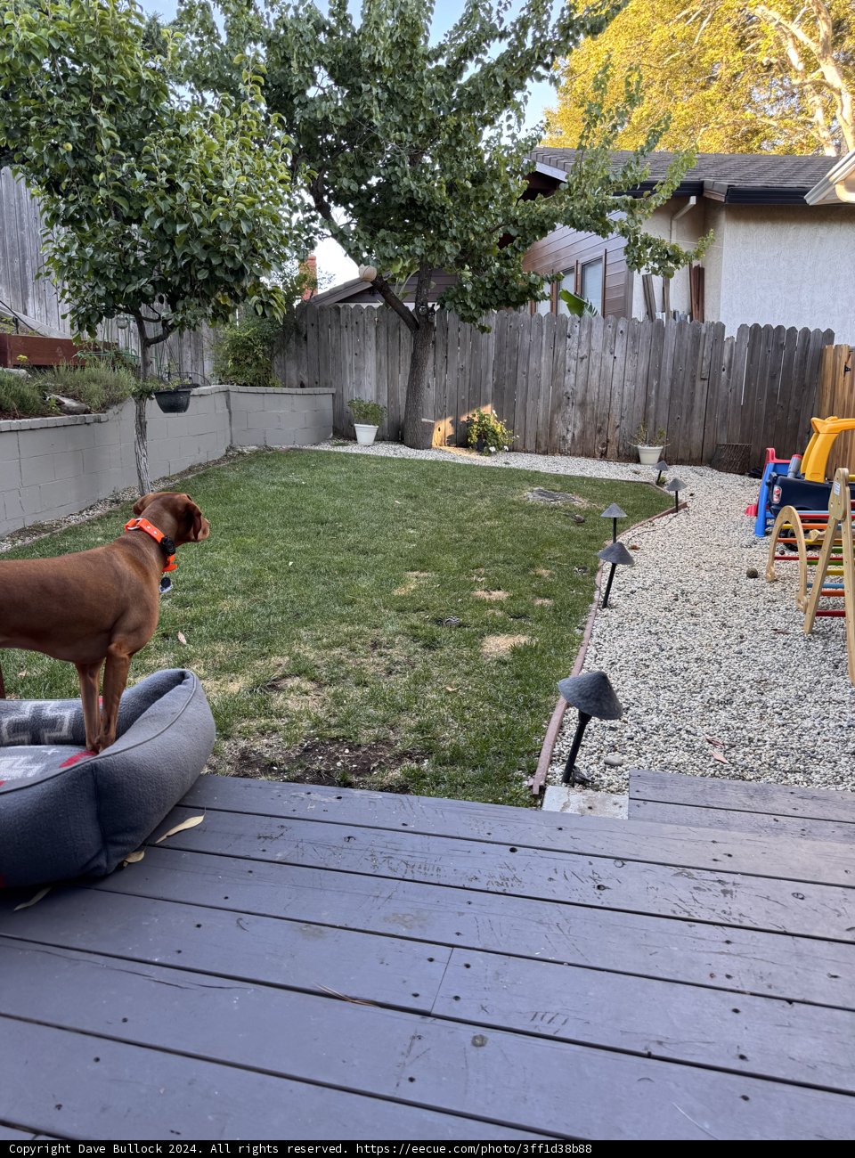 Zuni's Summer Haven