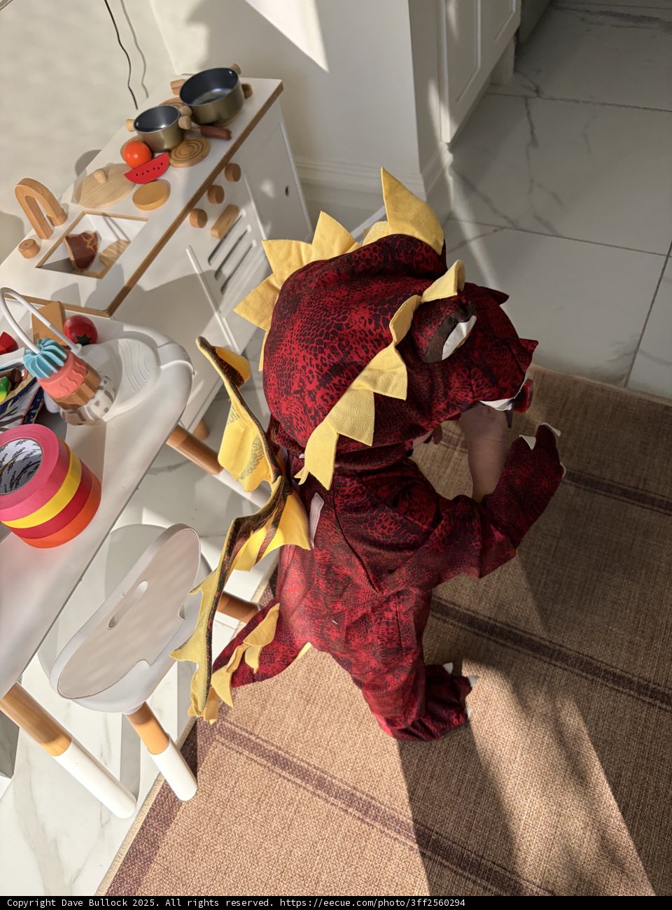 Little Dino Roams the Kitchen