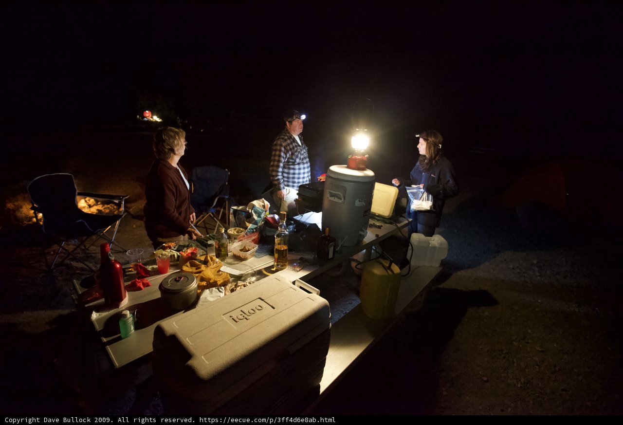 Camping Under the Night Sky