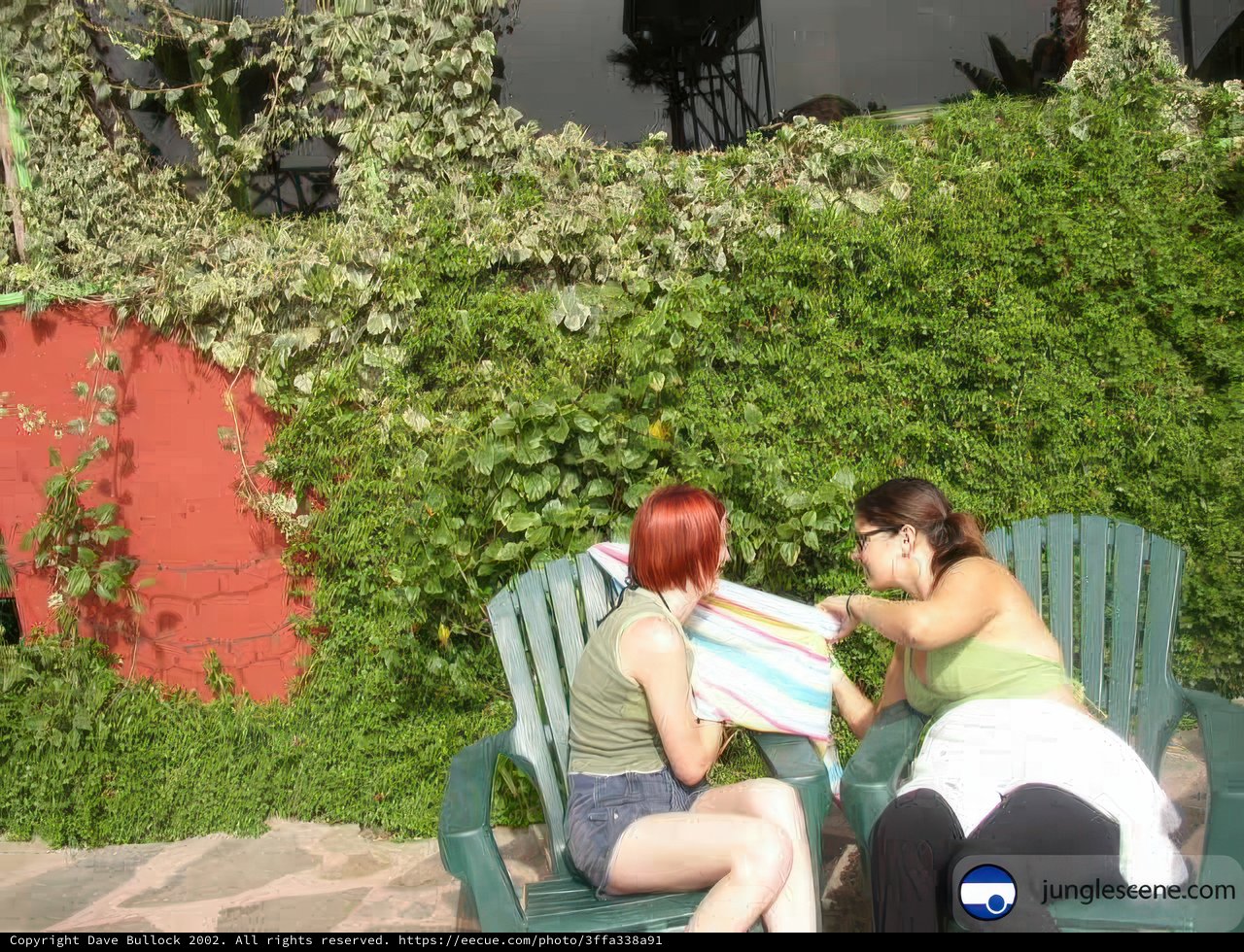 Two Women Enjoying the Backyard