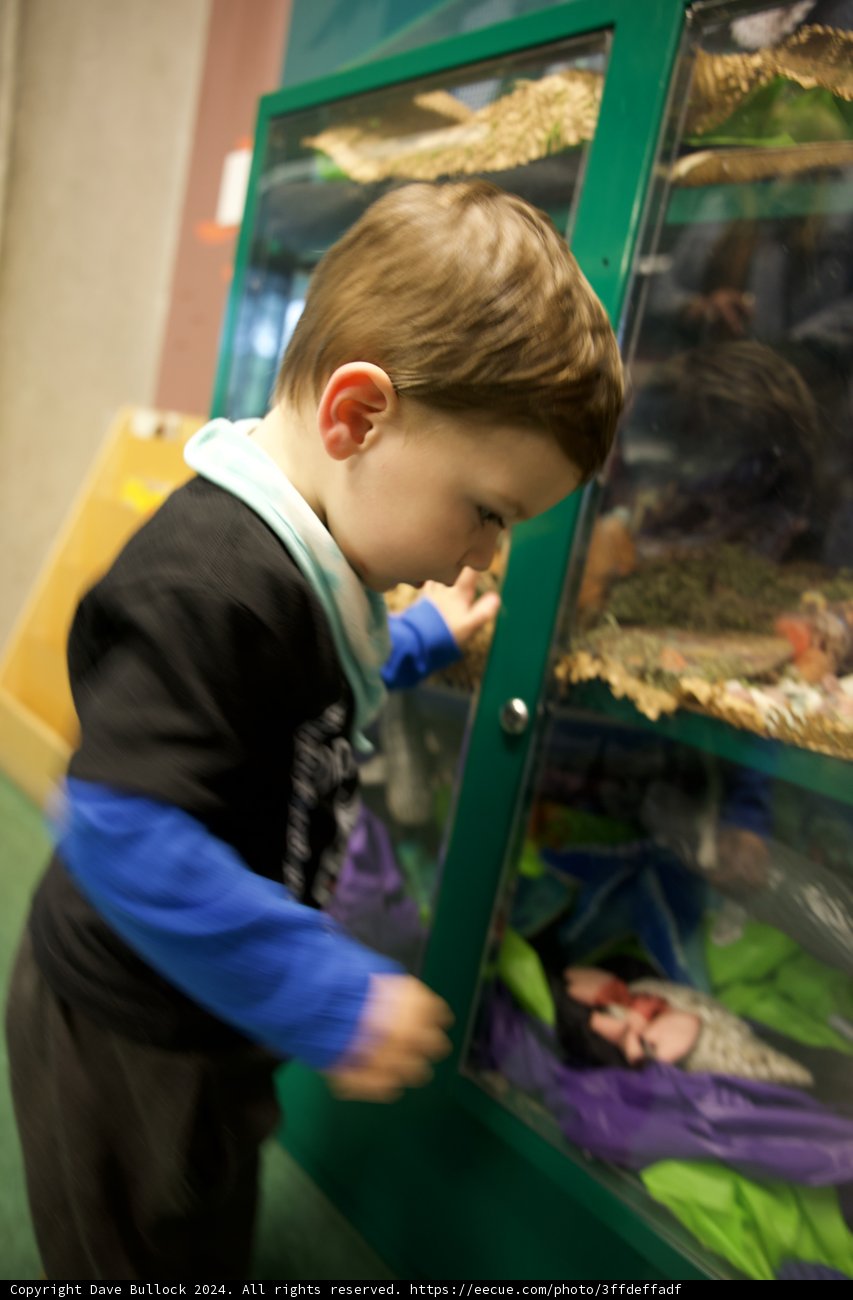 Underwater Fascination: A Day at the California Academy of Sciences