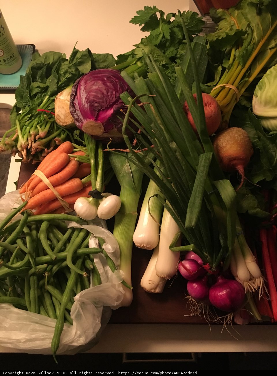 Farmer's Bounty