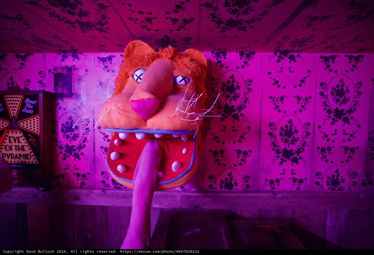 Surreal Puppet Installation in Neon-Lit Room