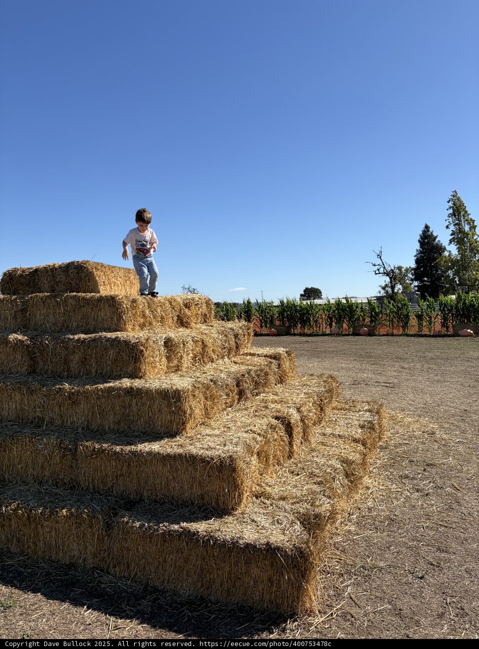 Scaling the Haystack