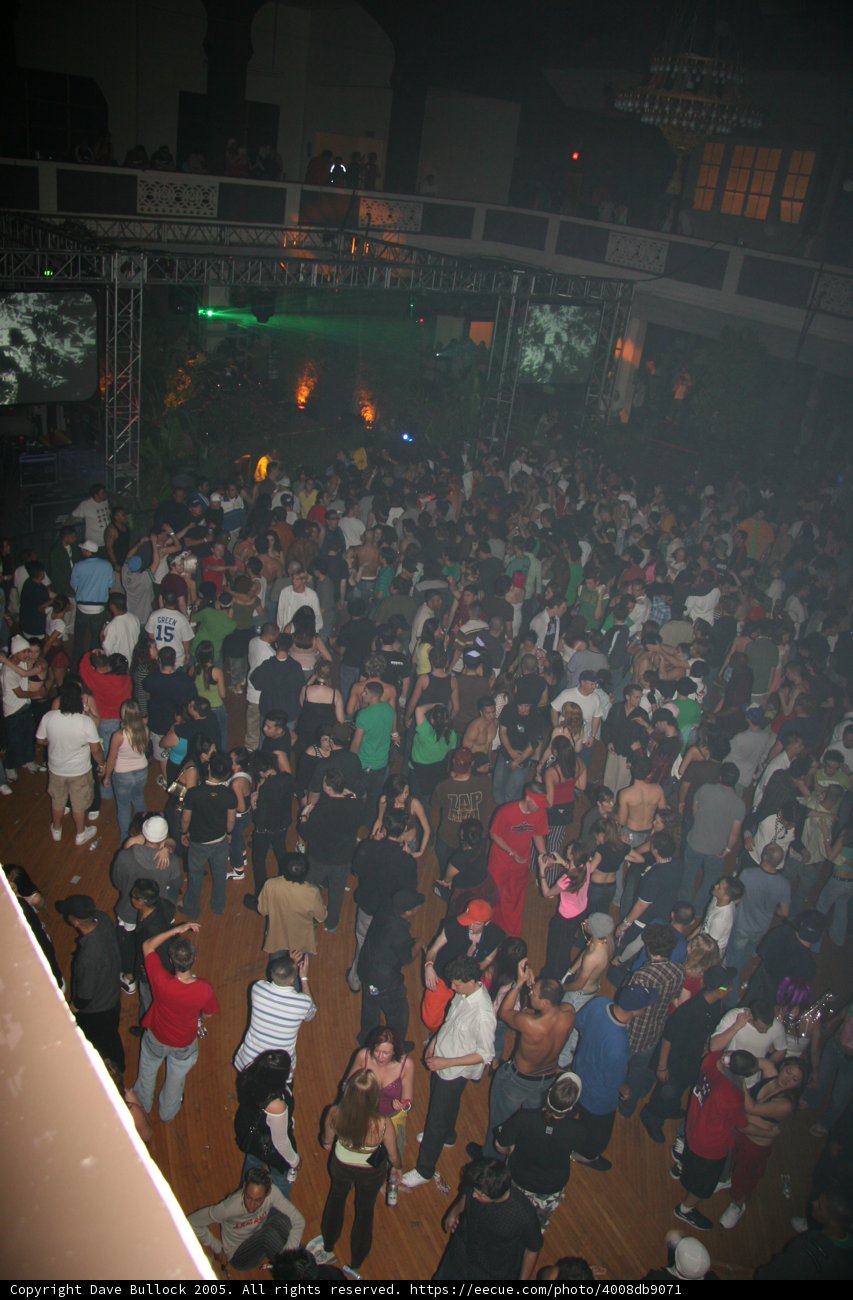 Night Club Revelry