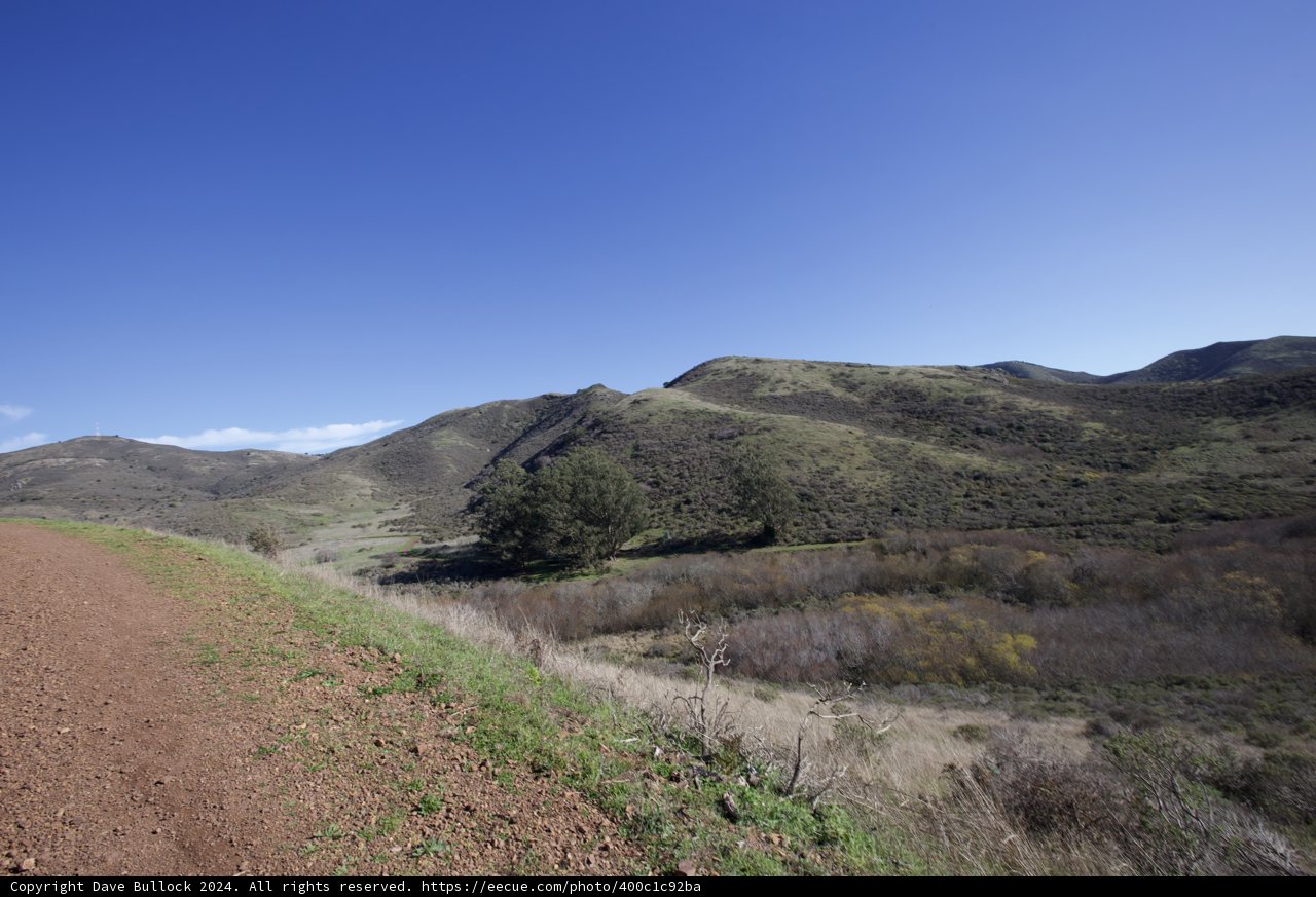 The Serene Pathway: Marin Headlands Hill 88
