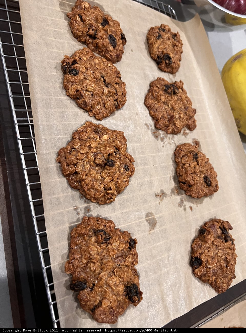 Tempting Tray of Fresh Baked Cookies